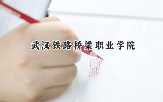 2024武汉铁路桥梁职业学院录取分数线：宁夏最低330分
