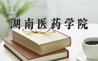 湖南医药学院全国排名和最强专业解析