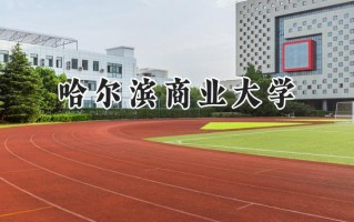 哈尔滨商业大学2024在江苏录取分数线是多少？最低516分/最高544分