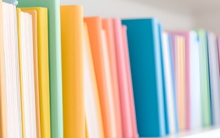 2025年商丘工学院在广东计划招生人数（附学费及专业录取分）
