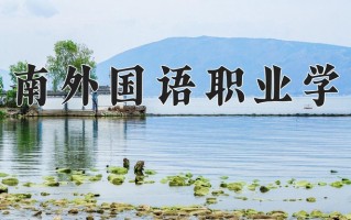 2025年海南外国语职业学院在四川计划招生人数（附学费及专业录取分)