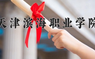 2025年天津滨海职业学院在四川计划招生人数（附学费及专业录取分)