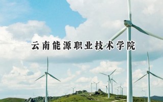 云南能源职业技术学院2024在山东录取分数线是多少？最低378分/最高404分