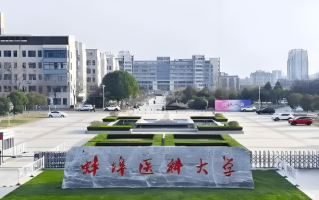2024蚌埠医科大学排名-最新全国排名第320位