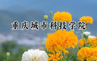 重庆城市科技学院2024在浙江录取分数线是多少？最低474分/最高557分