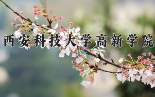 2025年西安科技大学高新学院在四川计划招生人数（附学费及专业录取分)