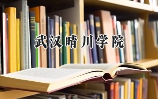 武汉晴川学院2024在江苏录取分数线是多少？最低463分/最高490分