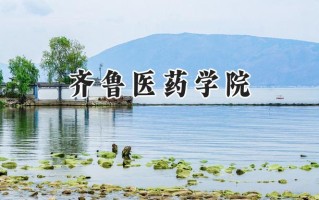 2024齐鲁医药学院录取分数线：天津最低489分