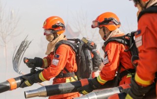 2024中国消防救援学院在沪招收青年学生体格检查、心理测试、面试安排