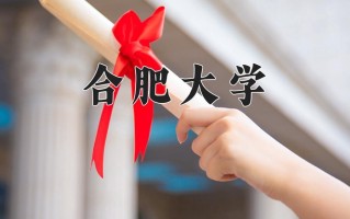 合肥大学全国排名及2024年最低录取分数线