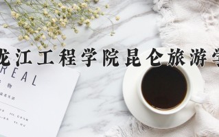 2024年黑龙江工程学院昆仑旅游学院录取分数线，新疆最低262分