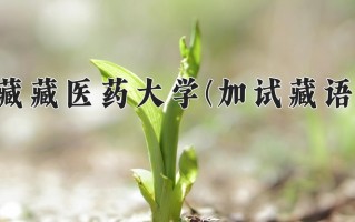 云南421分能上什么大学？附2025年可以报考的大学名单