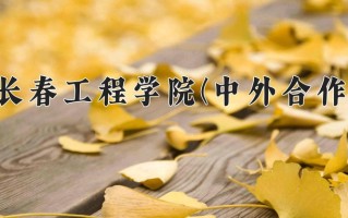2025年长春工程学院(中外合作)在四川计划招生人数（附学费及专业录取分)