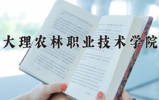 2025年四川392分左右能上的大学名单