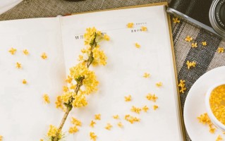 山东高考531分上什么大学好？2025年高考好学校推荐