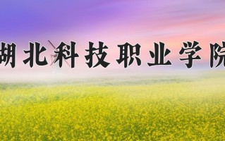 2024年湖北科技职业学院录取分数线，河北最低361分