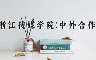 2024浙江传媒学院(中外合作)录取分数线，重庆录取最低分529