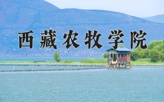 2024西藏农牧学院录取分数线，重庆录取最低分486