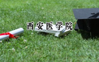 西安医学院2024在青海录取分数线是多少？最低399分/最高474分