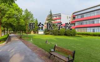 2024年邢台医学院录取分数线，河北最低391分
