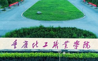 2024年重庆化工职业学院录取分数线，青海最低272分