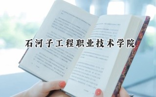 石河子工程职业技术学院2024在青海录取分数线是多少？最低234分/最高312分