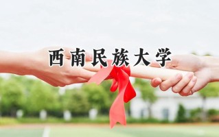 2024西南民族大学录取分数线：陕西最低501分