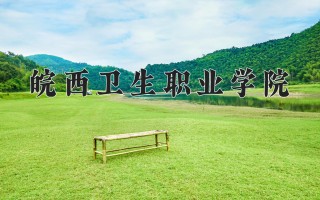 2024年皖西卫生职业学院录取分数线，河北最低390分