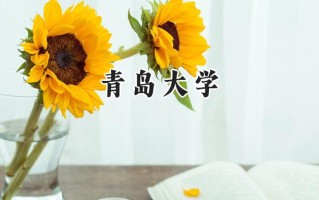 青岛大学2024在上海录取分数线是多少？最低482分/最高516分