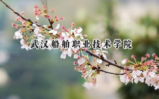 2024武汉船舶职业技术学院录取分数线：天津最低166分