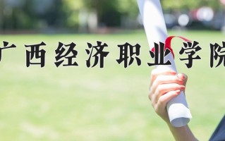 辽宁考生多少分能上广西经济职业学院？2025最低255分