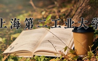 上海第二工业大学怎么样？全国排名第几位