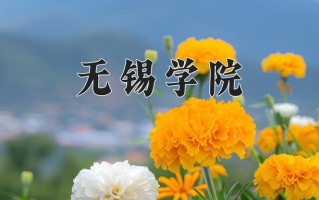 无锡学院全国排名及2024年最低录取分数线