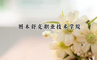 图木舒克职业技术学院2024在山东录取分数线是多少？最低284分/最高304分