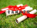 2024年青岛城市学院录取分数线，河北最低462分