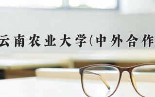2025年云南农业大学(中外合作)在四川计划招生人数（附学费及专业录取分)
