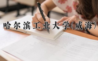 辽宁考生多少分能上哈尔滨工业大学(威海)？2025最低618分