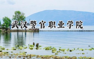 武汉警官职业学院2024在浙江录取分数线是多少？最低502分/最高517分