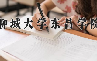 2024年聊城大学东昌学院录取分数线，内蒙古最低377分
