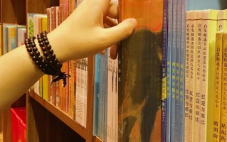 2025年上海立信会计金融学院在广东计划招生人数（附学费及专业录取分）