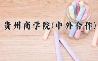 2024贵州商学院(中外合作)录取分数线，重庆录取最低分480