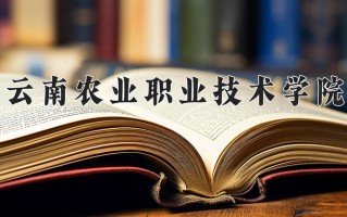 辽宁考生多少分能上云南农业职业技术学院？2025最低317分