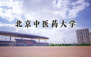 2024北京中医药大学录取分数线：天津最低606分