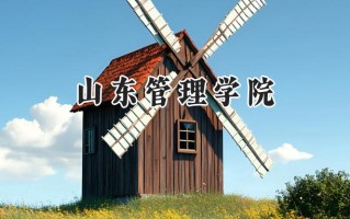 2024山东管理学院录取分数线：河南最低491分