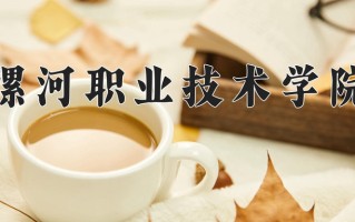 2024漯河职业技术学院录取分数线，重庆录取最低分316