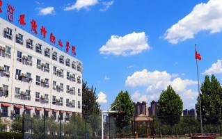 2024年山东艺术设计职业学院录取分数线，河北最低274分