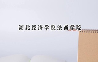 2024湖北经济学院法商学院录取分数线：江苏最低480分