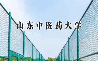 2024山东中医药大学录取分数线：江苏最低526分