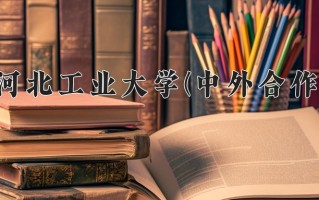 2025年河北工业大学(中外合作)在四川计划招生人数（附学费及专业录取分)