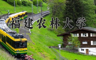 智慧林业专业2025年广东招生院校有哪些？含学费及招生人数